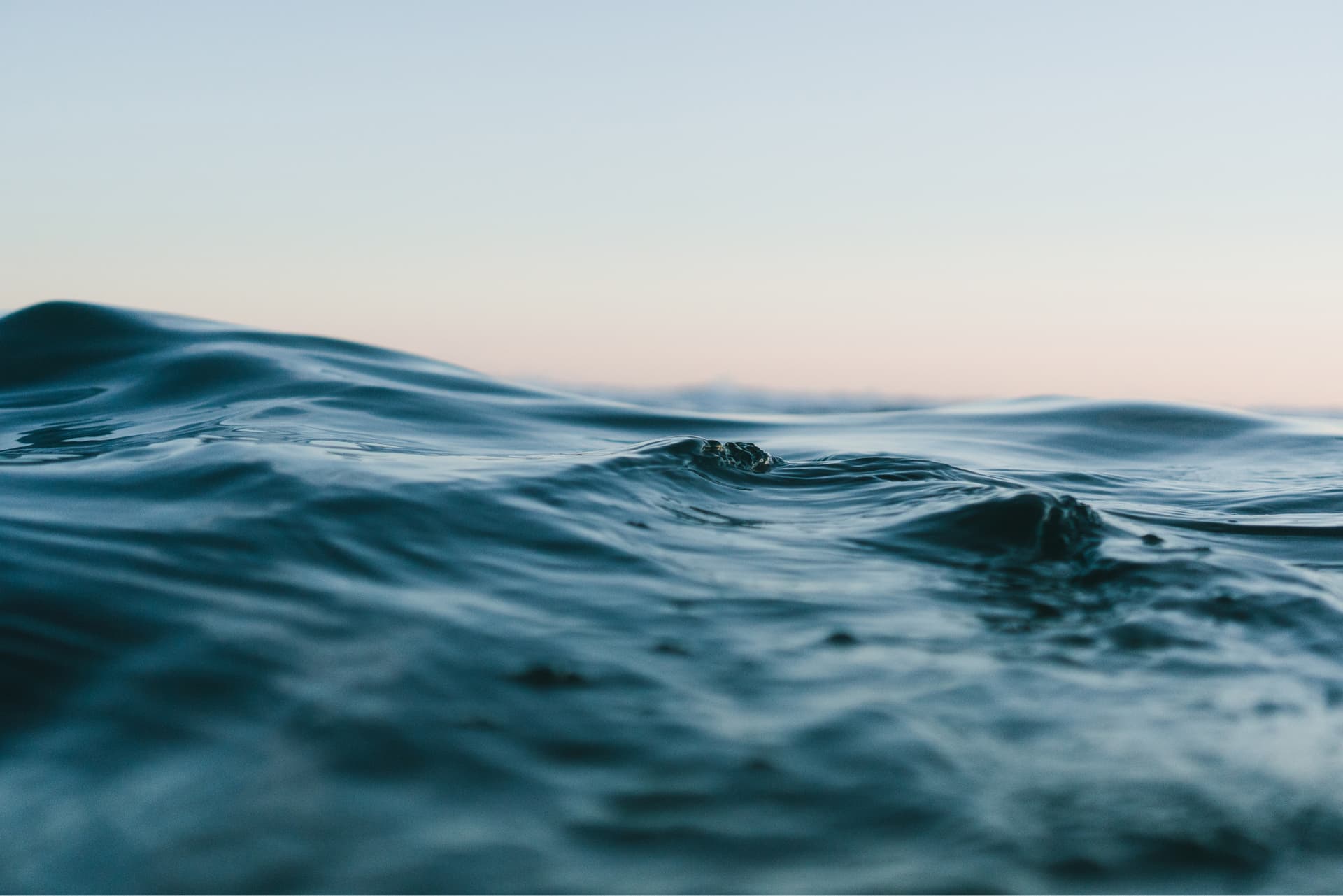 An image of a wave in the sea