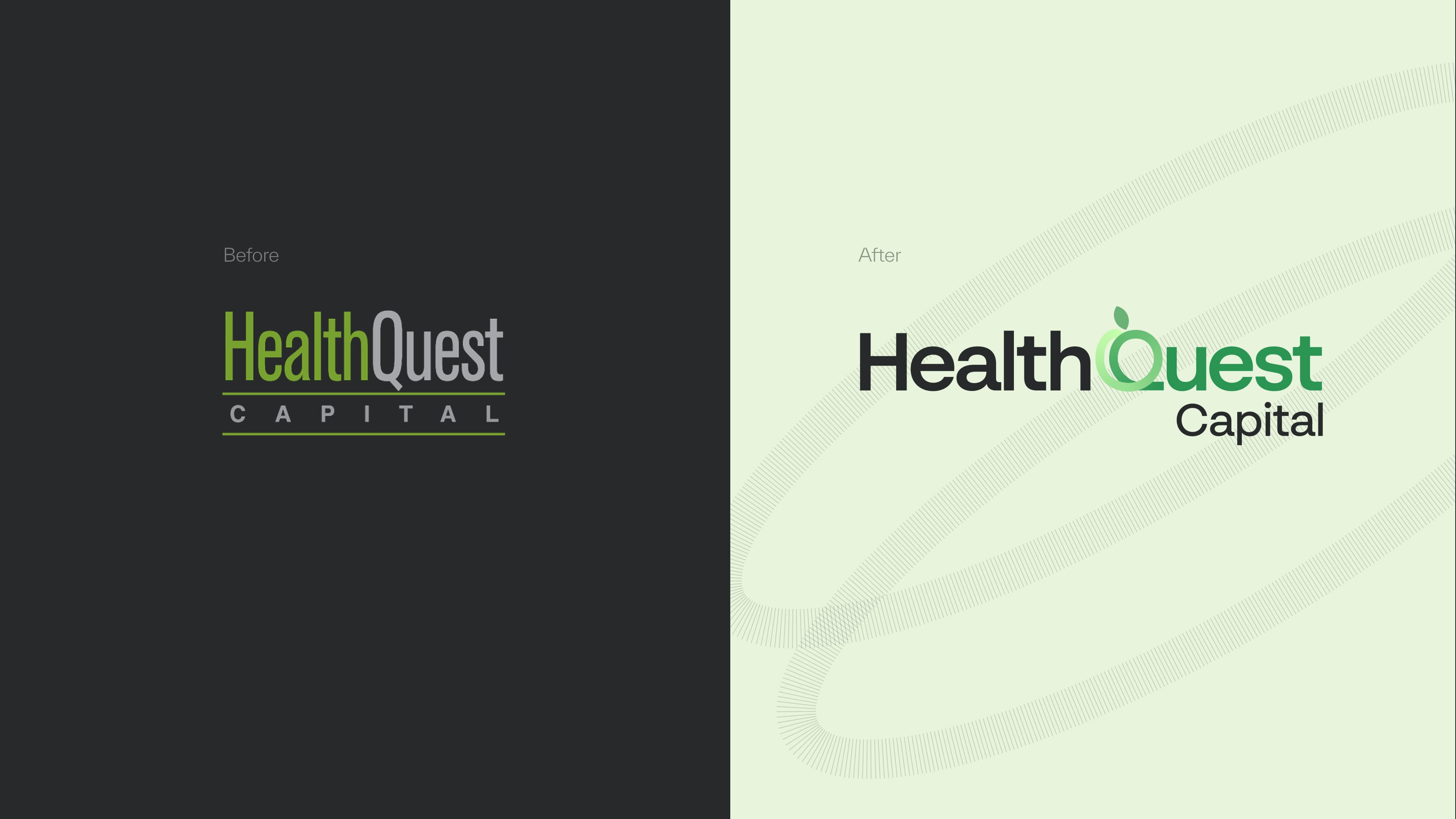 HealthQuest Capital's Icons
